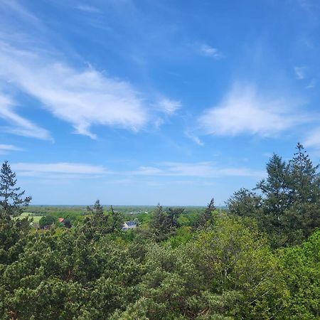 Chalet Alkenhaer Appelscha Εξωτερικό φωτογραφία