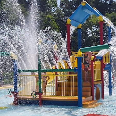 Chalet Alkenhaer Appelscha Εξωτερικό φωτογραφία